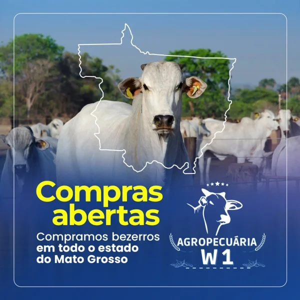 Gestão de Mídias Sociais para Agronegócio: Autoridade e Conversão no MT